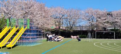 桜集合.jpg