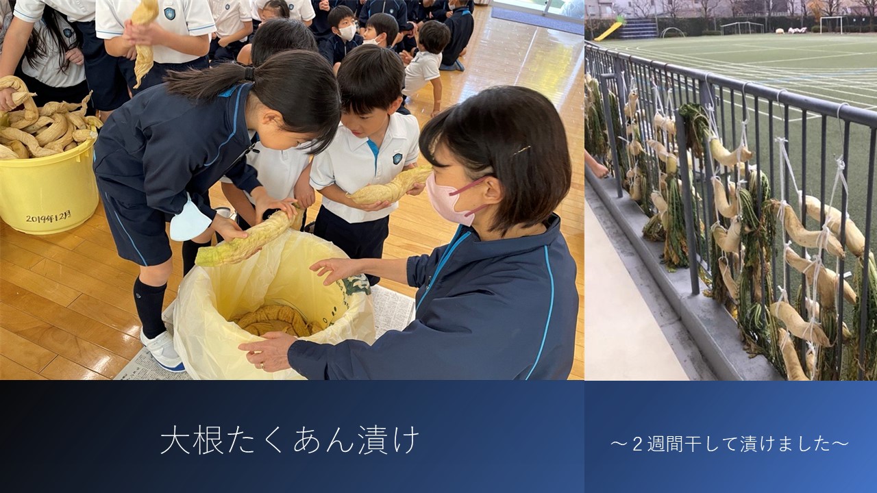 都市大付属小 先生ブログ: クラブ活動やこども・学校の様子アーカイブ